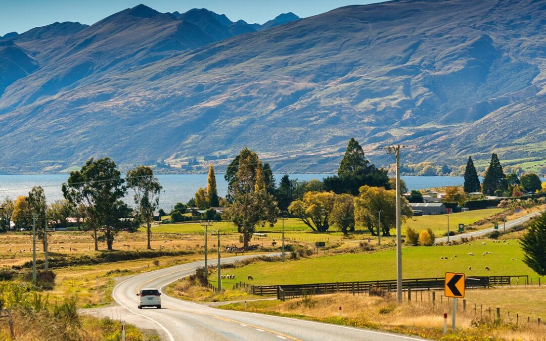 NEW ZEALAND SELF-DRIVE & KINGS SOUTHERN SPOTLIGHT TOUR