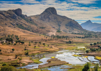MADAGASCAR UNTAMED