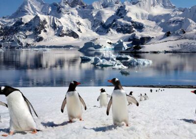 BUENOS AIRES & ANTARCTICA CRUISE ADVENTURE