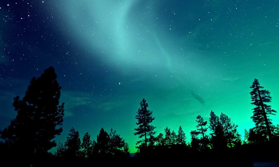 NORTHEN LIGHTS ARTCTIC EXPERIENCE