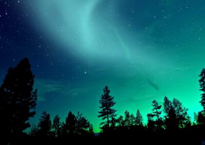 NORTHEN LIGHTS ARTCTIC EXPERIENCE