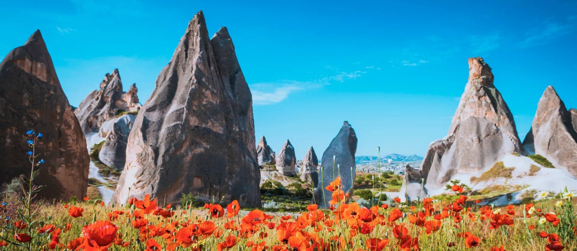 Turkey