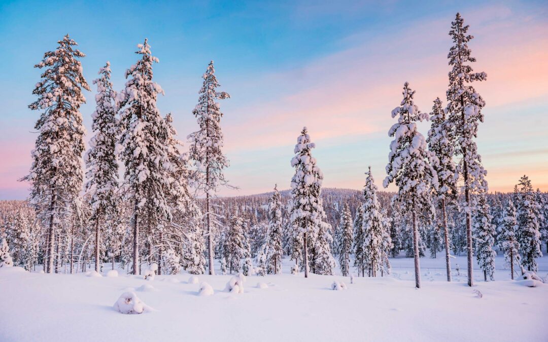 4 NIGHT ARCTIC WILDERNESS ESCAPE