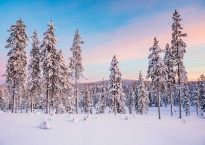 4 NIGHT ARCTIC WILDERNESS ESCAPE
